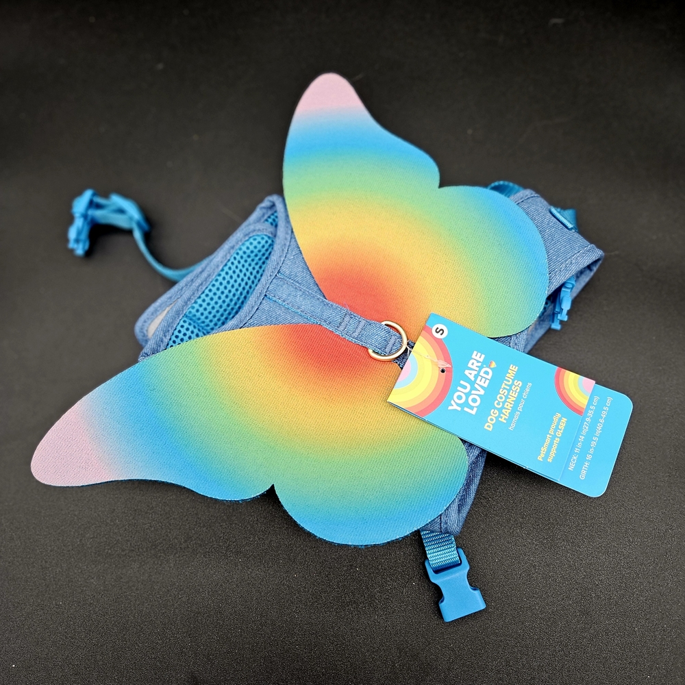 Rainbow Butterfly Kids Backpack